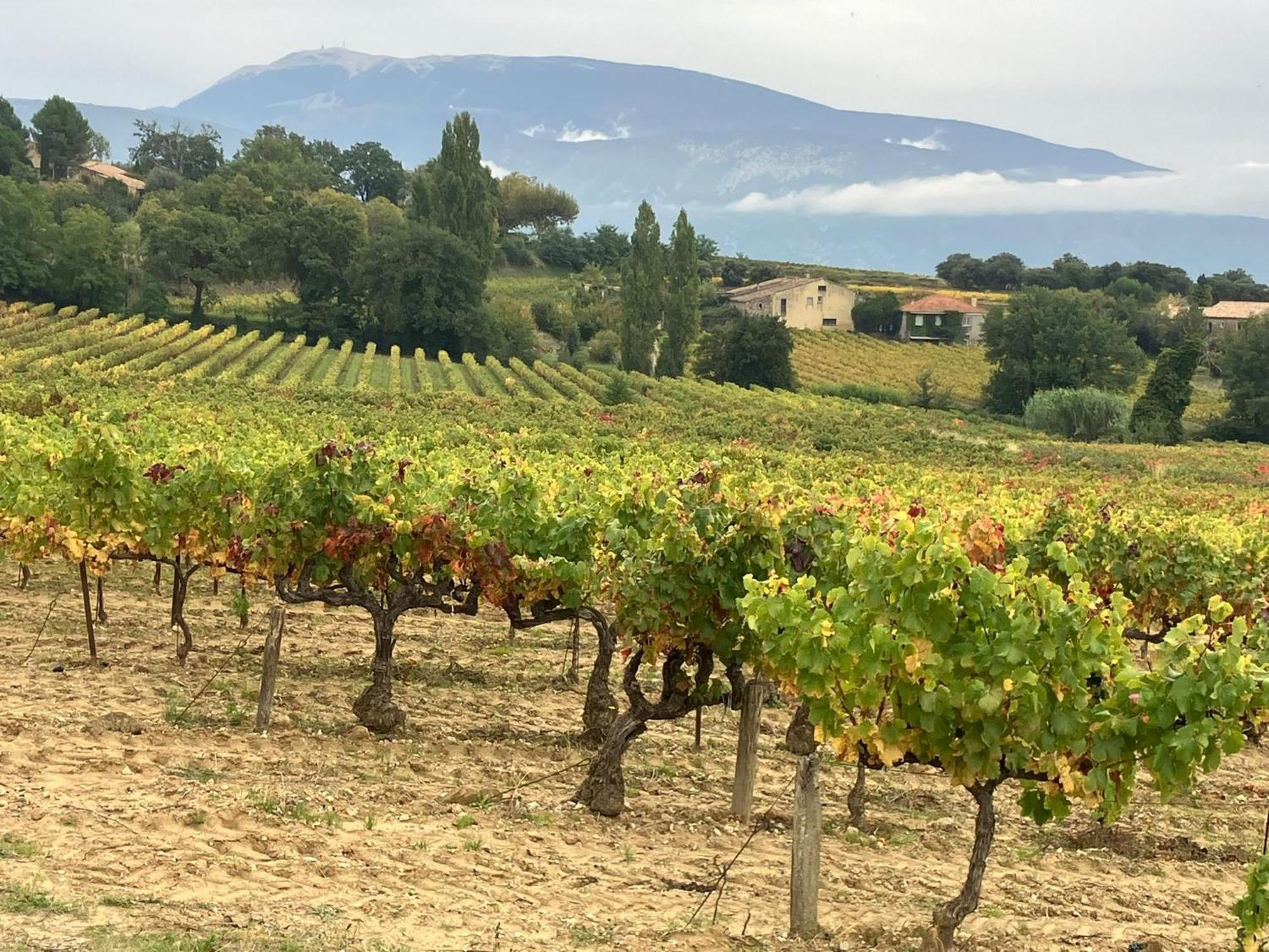 La Clairiere Villa Pierrelongue ภายนอก รูปภาพ
