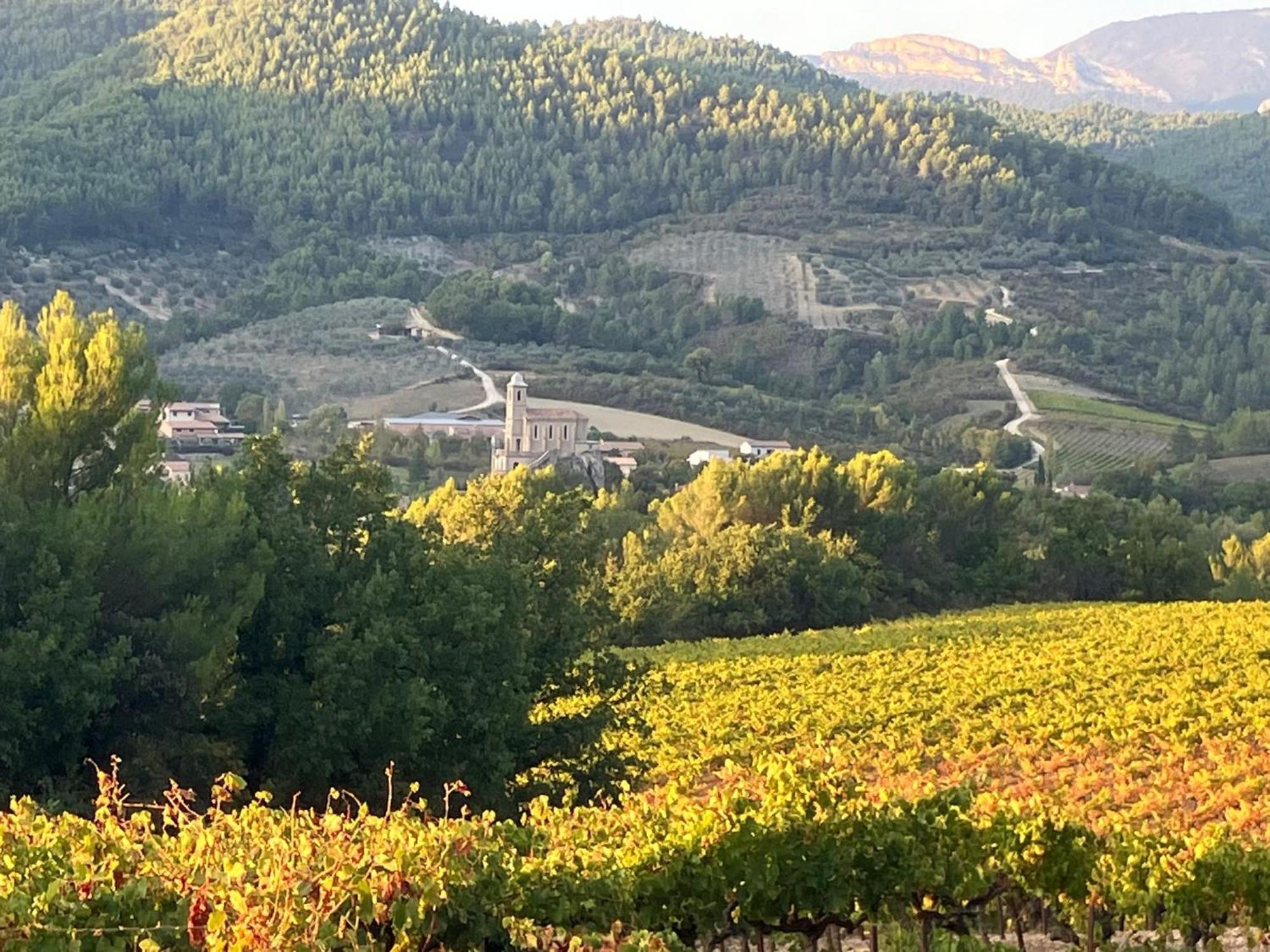 La Clairiere Villa Pierrelongue ภายนอก รูปภาพ